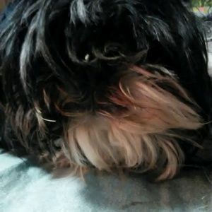 Meet your Posher, Carol